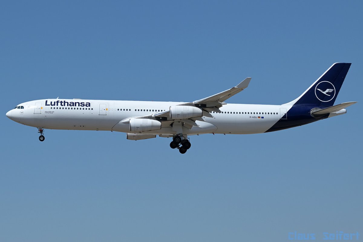 D-AIGU.jpg