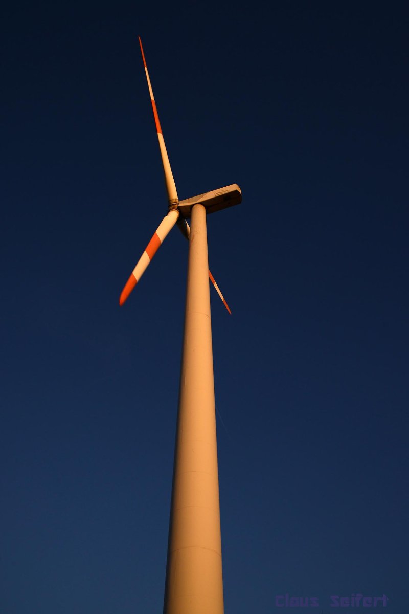 4174.jpg