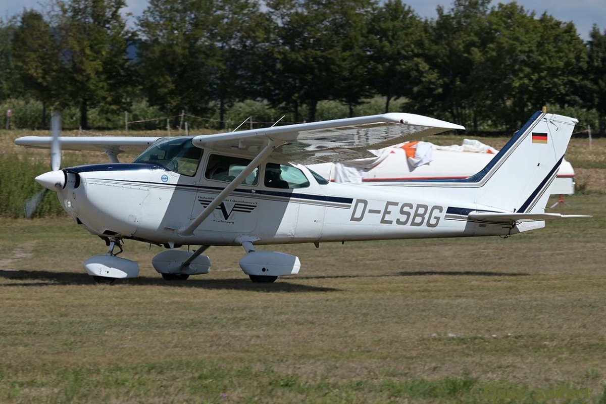 D-ESBG.jpg