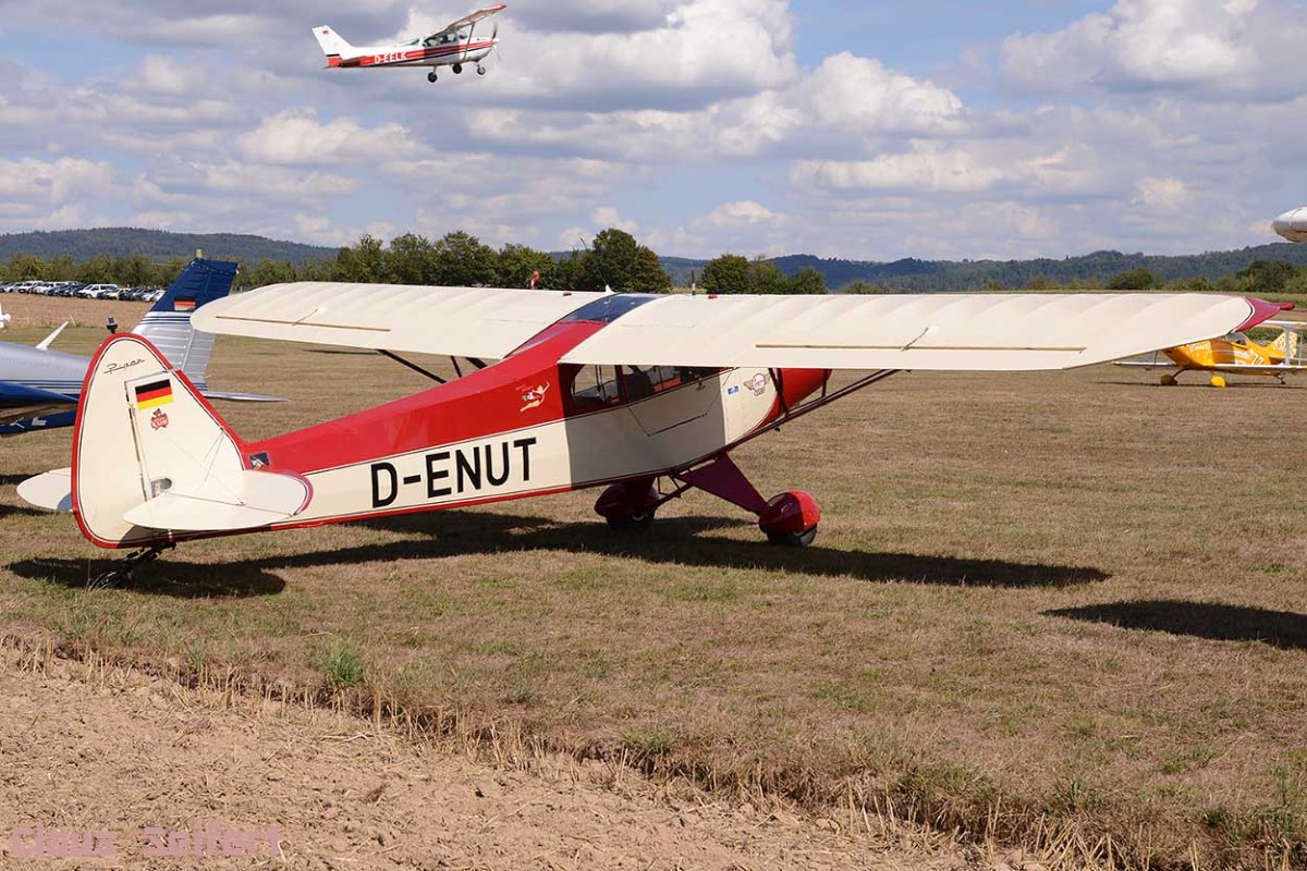 D-ENUT .jpg