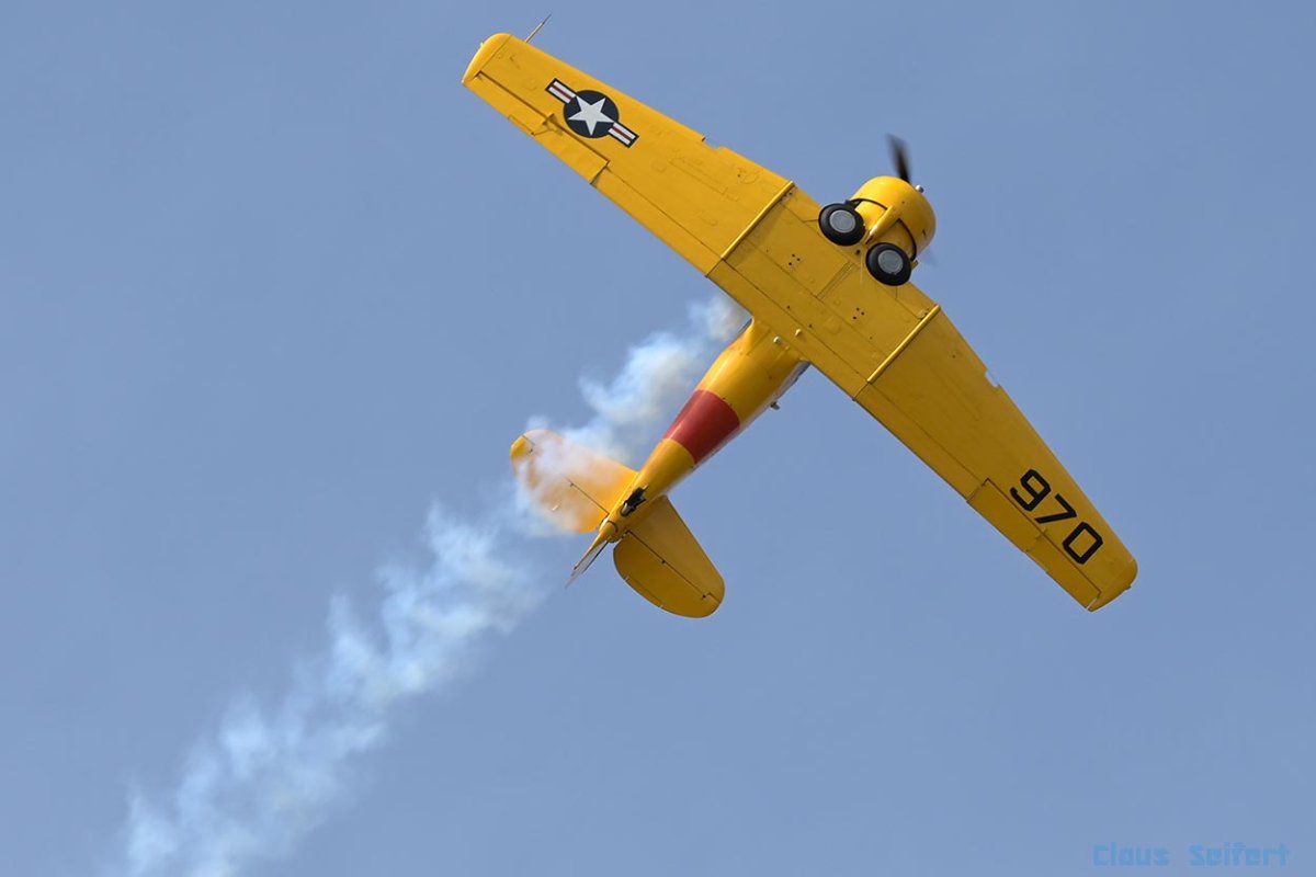 D-FURI.2.jpg