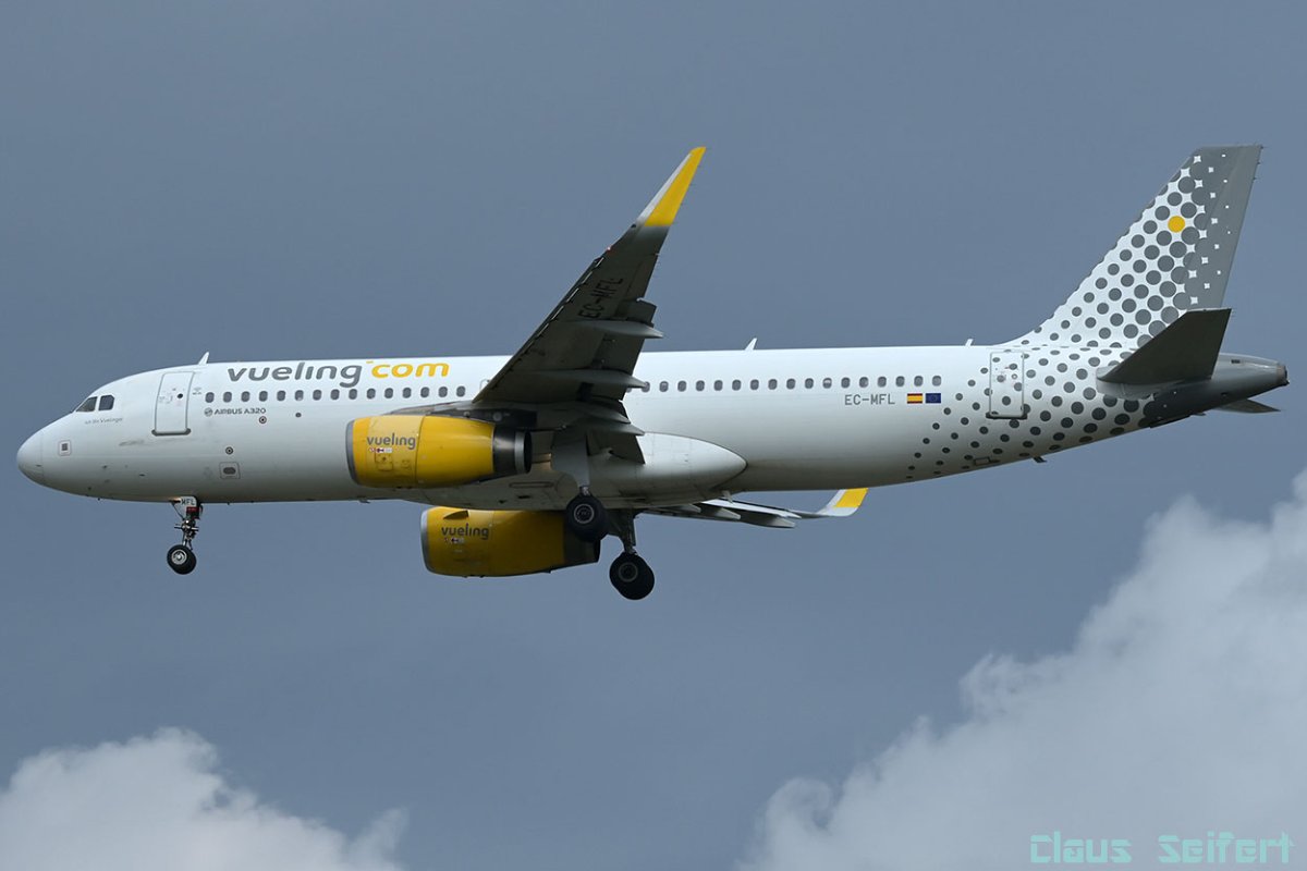 EC-MFL.jpg